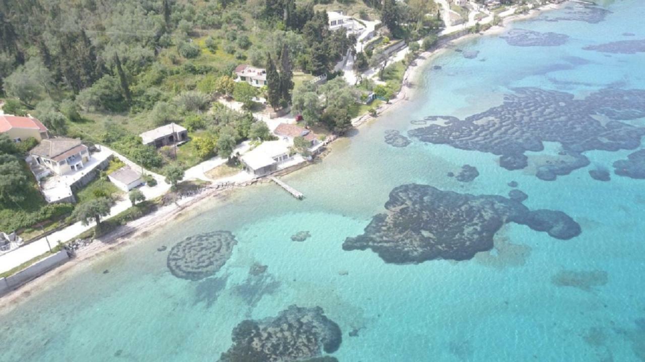 Blue Horizon Villa Vukarí Kültér fotó